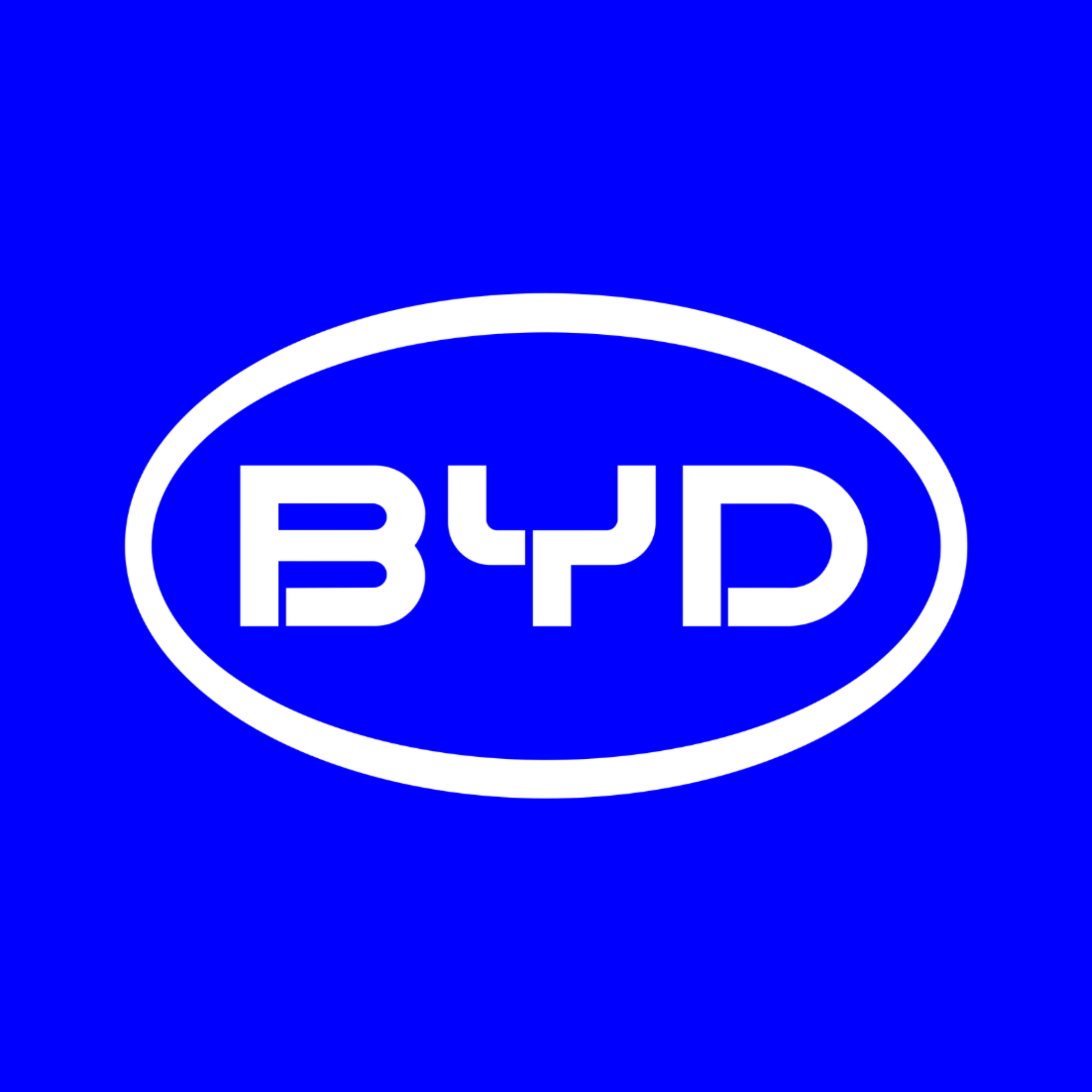 BYD HVS